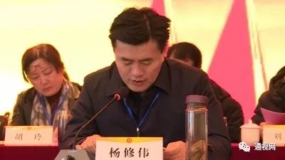 大会由县委副书记,政法委书记杨修伟主持