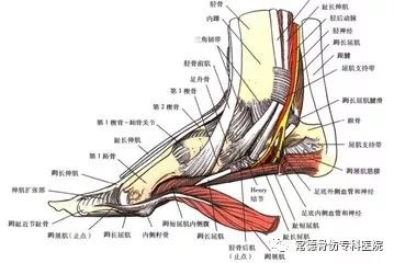 天若有情天亦冷还露脚踝行不行