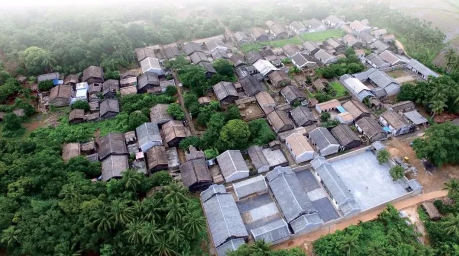 "静美定安,祥和家园"定安县古色古乡的百里百村,南丽湖国家湿地公园