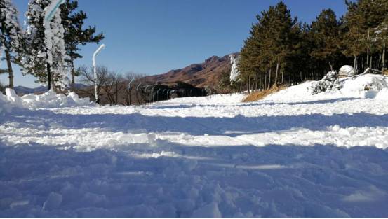 【热点资讯】乌兰察布国际滑雪场预计于2018年1月19日投入运营