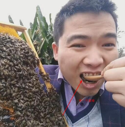 在他嘴里惊现一只小蜜蜂,难道真的要吃下去?