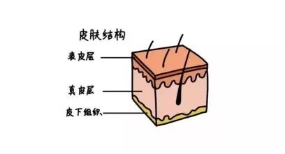 台湾黑脸娃娃19.9元/次!