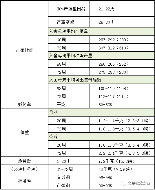 北京农效禽业 父母代