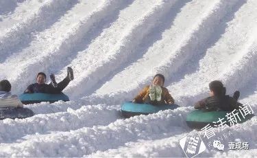 8只企鹅"降临"北京陶然亭公园,并且今年陶然亭公园的大雪山滑雪场设置