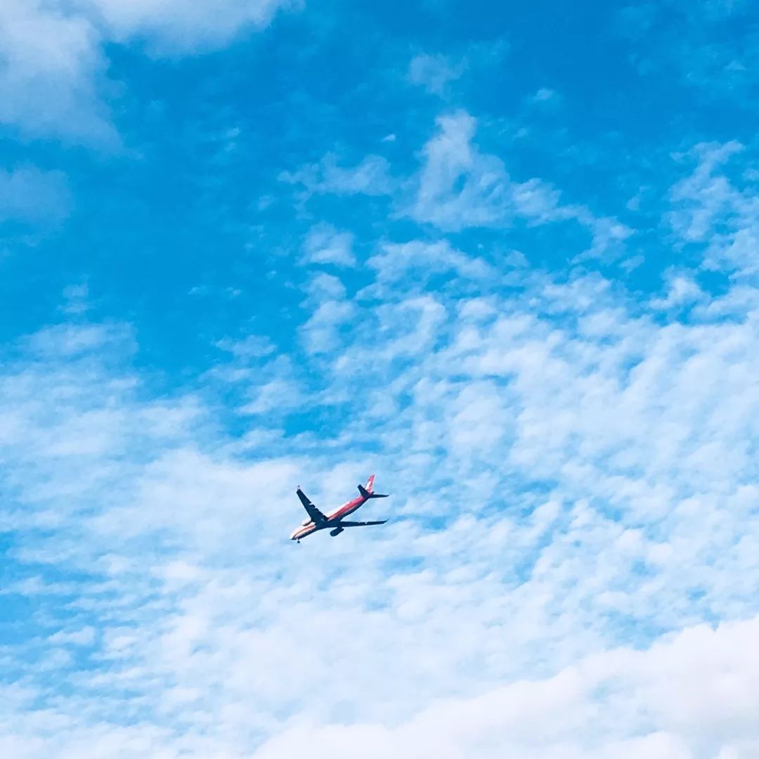 空乘的一生,都在奔跑.