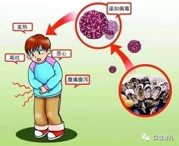 冬季流行的诺如病毒比"秋季腹泻"更猖狂,宝宝要小心了