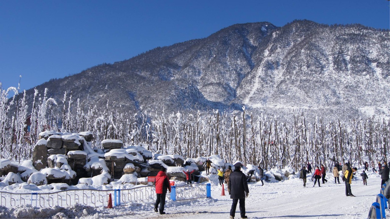 西岭雪山是成都周边最大的滑雪场和大型滑草场,高山草原运动游乐场.