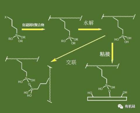 硅烷偶联剂硅烷交联剂傻傻分不清楚科普加互动还不来瞅瞅