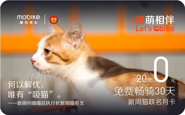 在摩拜上也能撸猫了,摩拜x网易洞见的"猫bike"火了!