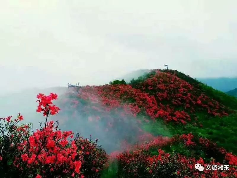 2017年萍乡市十佳乡村旅游景点评选落幕,湘东斩获荣耀