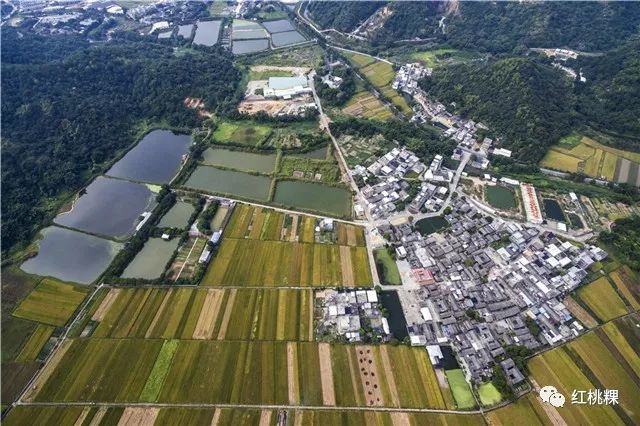 饶平县各村人口_饶平县沈厝村古老图片(3)