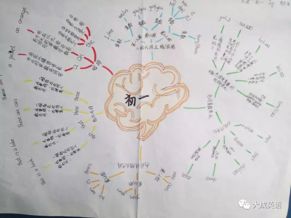 思维导图大赛获奖名单公布!