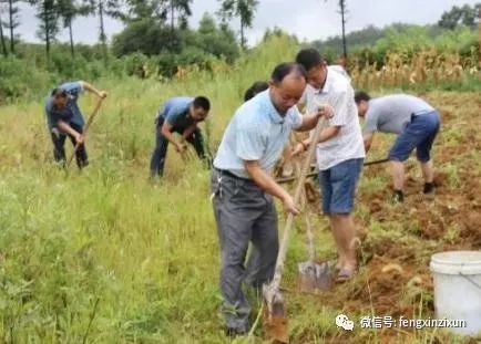 奉新县有多少人口_一家五口从九江迁到奉新来,让老人没有预料到的事情发生了