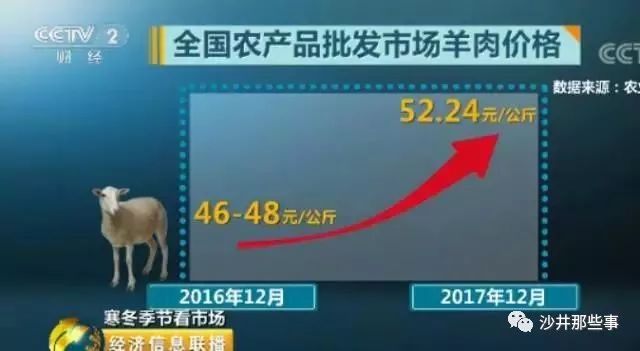 沙井最新人口统计_实时播报 宝安初一网报人数统计情况 多校人数爆满 更新至(3)