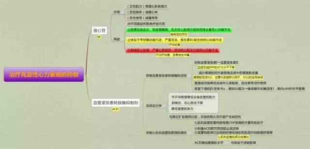 必看药理学思维导图