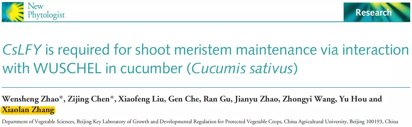 张小兰教授为通讯作者的题为"cslfy is required for shoot meristem