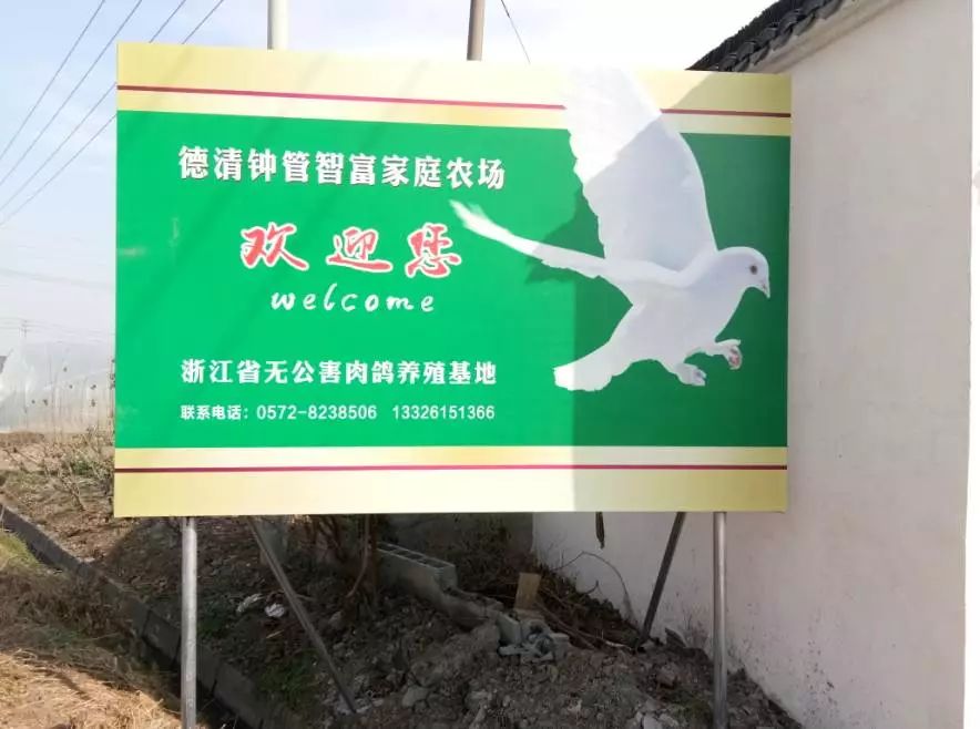 对德清钟管智富家庭农场承担的德清县钟管智富肉鸽养殖基地改建项目