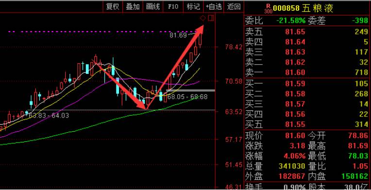 人口龙头股_人口普查(2)