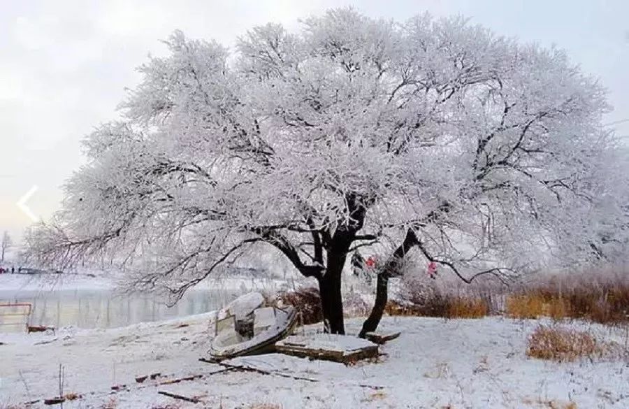 大自然赋予吉林的不只冰雪,还有.