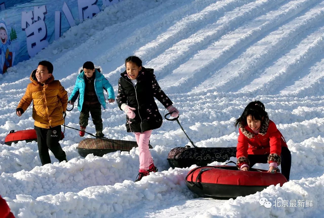 冰雪乐园开放,一起去雪地里撒点野!