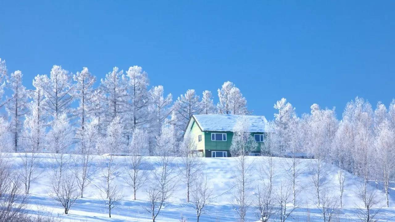 日本北海道雪景图片大全 Uc今日头条新闻网