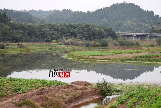 射洪县洋溪镇苏家沟