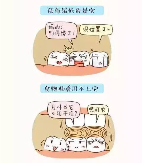 智齿,拔还是不拔?