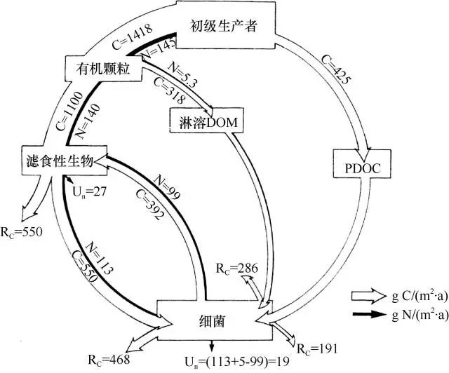 南非西海岸海带属藻场物质循环示意图