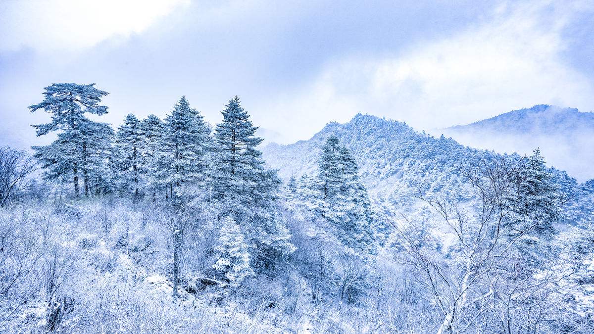 【2018神犬贺岁*寒假,春节】神农架滑雪,三峡大坝4天$1599起 畅享南方