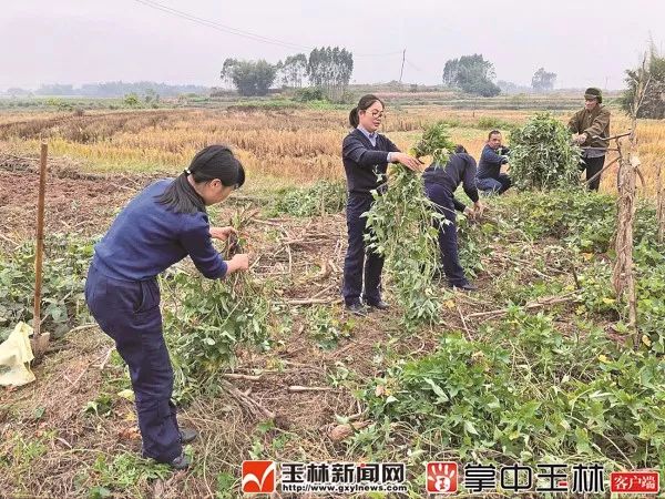 兴业县沙塘镇人口_兴业县沙塘镇永兴村(3)