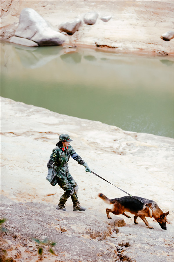 《奇兵神犬》艾勒薇斯再闯祸张馨予情绪崩溃狂飙泪