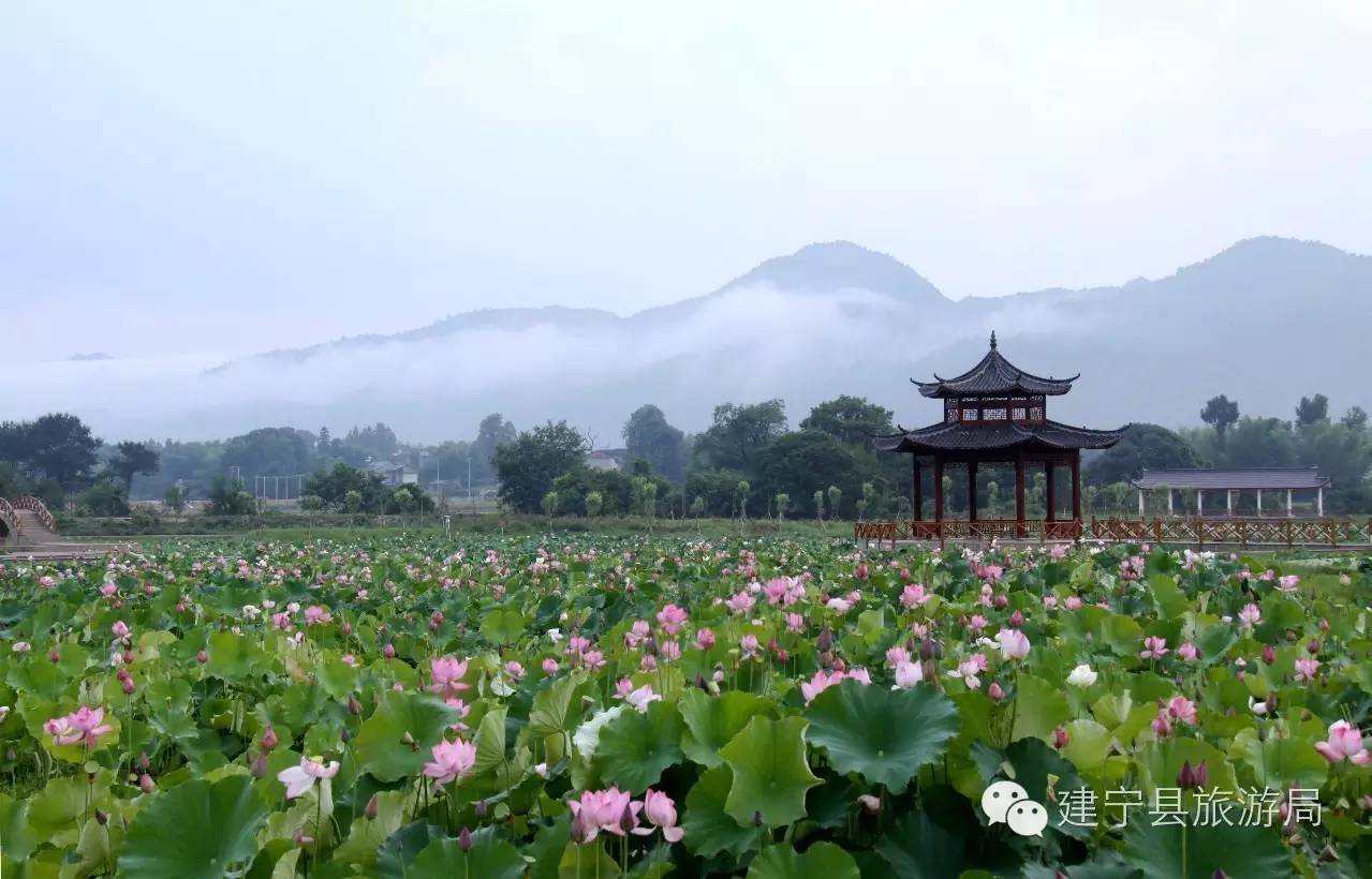 建宁修竹村入选2017福建省"二十佳旅游特色村!快来看看这里有多美!