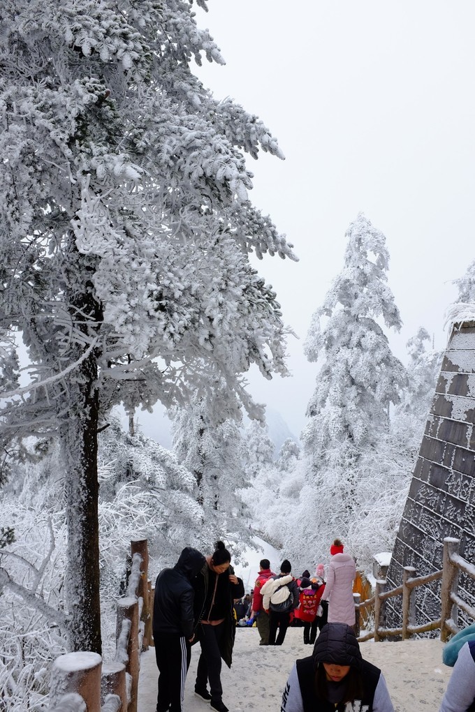 去峨眉山怎么穿搭_峨眉山金顶图片