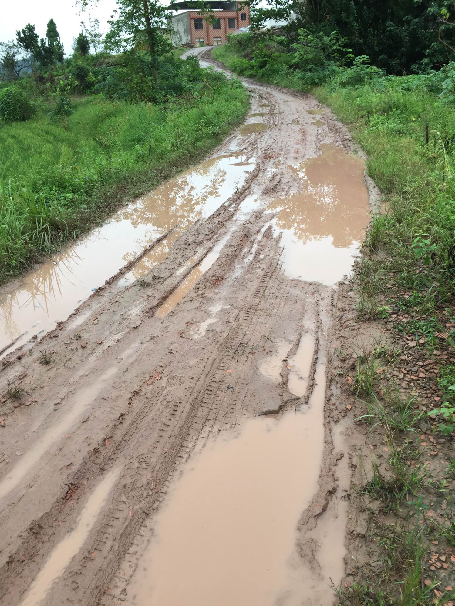 城市套路深,农村路也滑,这句话很形象的表达了这个村的泥巴路.