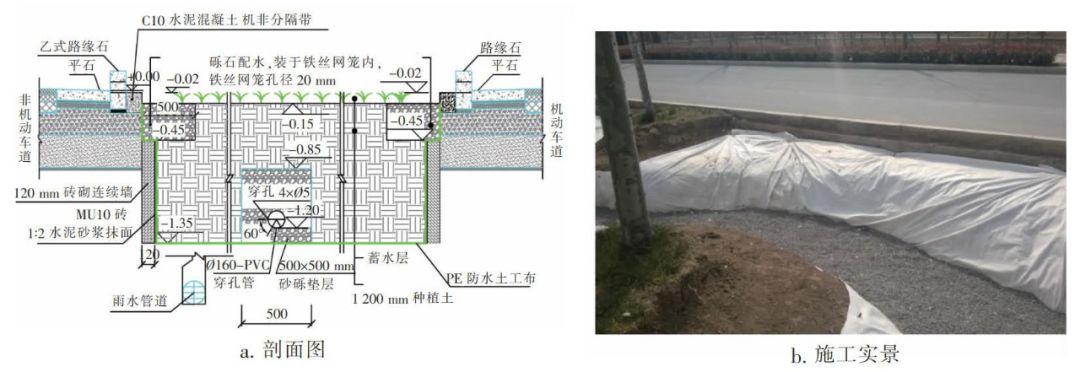 设计图 实景图详解 海绵城市道路设计—陕西西咸新区