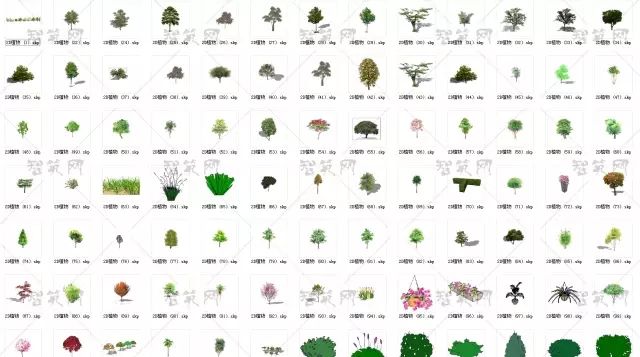 这份资料到底有多么丰富 请接着往下看 sketchup植物模型素材 共 12