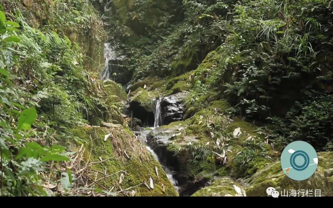 大田这个村竟然是闽江,晋江,九龙江的源头,有几个人