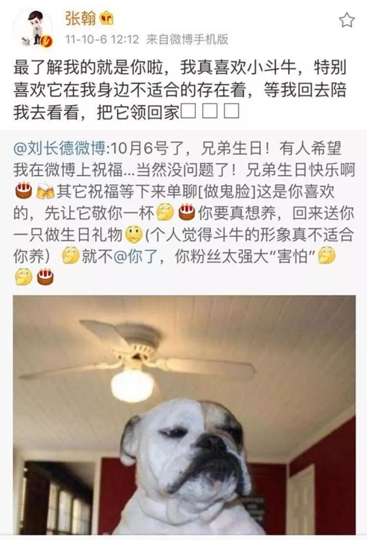 扎心了,男明星半年时间把狗狗和女票都丢了