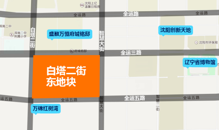 沈阳老年人口_辽宁省2011年老年人口信息和老龄事业发展状况报告