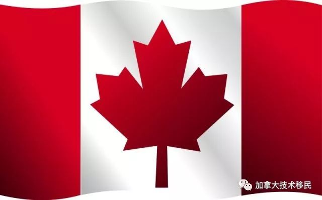 加拿大移民报税居然关乎换发枫叶卡的成功?