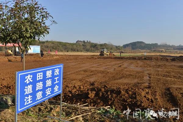 1.48亿,夷陵区启动高标准农田建设