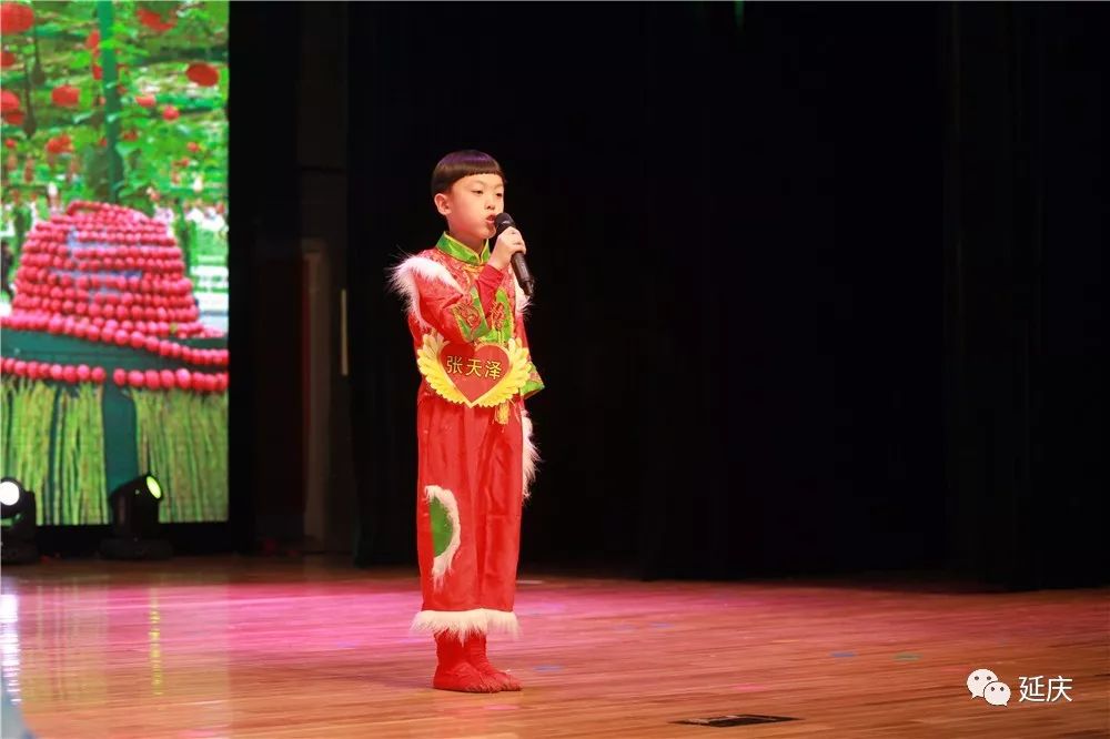 康庄小学《小小少年▲王雨晨 太平庄小学《隐形的翅膀▲王佳焱