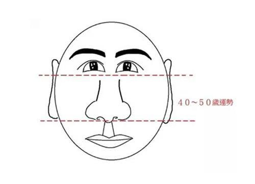 成语人仰鼻什么_什么是仰躺姿势图片(2)