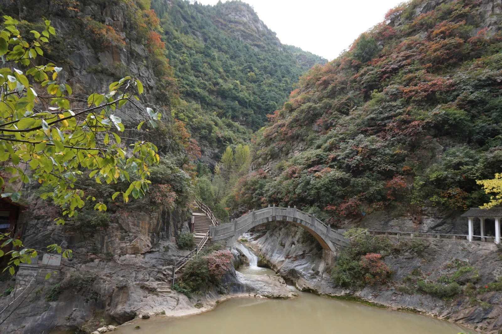 石成县人口_成县鸡峰山