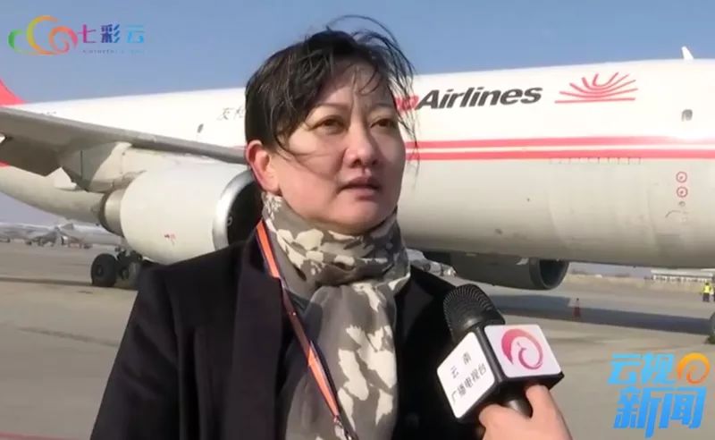 云南机场集团副总裁 李盈霖