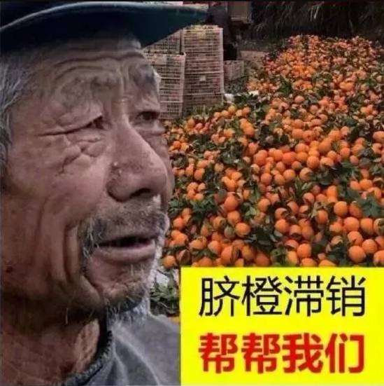 滞销3000亿这位老大爷今年可真忙同情营销背后的逻辑到底是什么