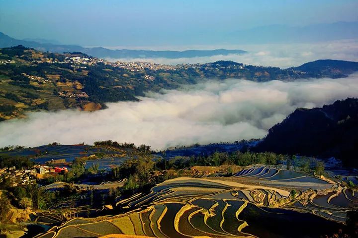 【一月云南】跟着芳华去蒙自,建水古城品味舌尖上的中国,元阳梯田灌水