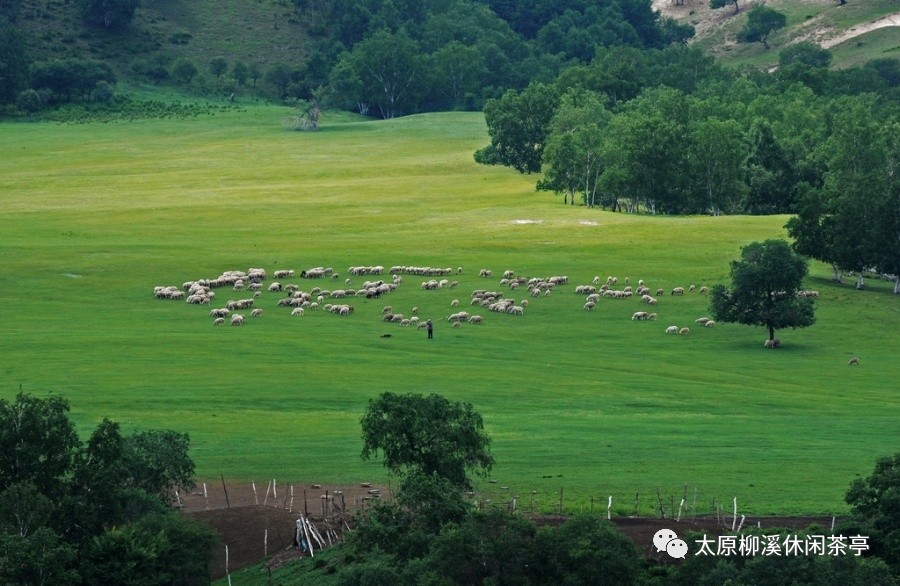 请欣赏歌曲草原晨曲及背景故事