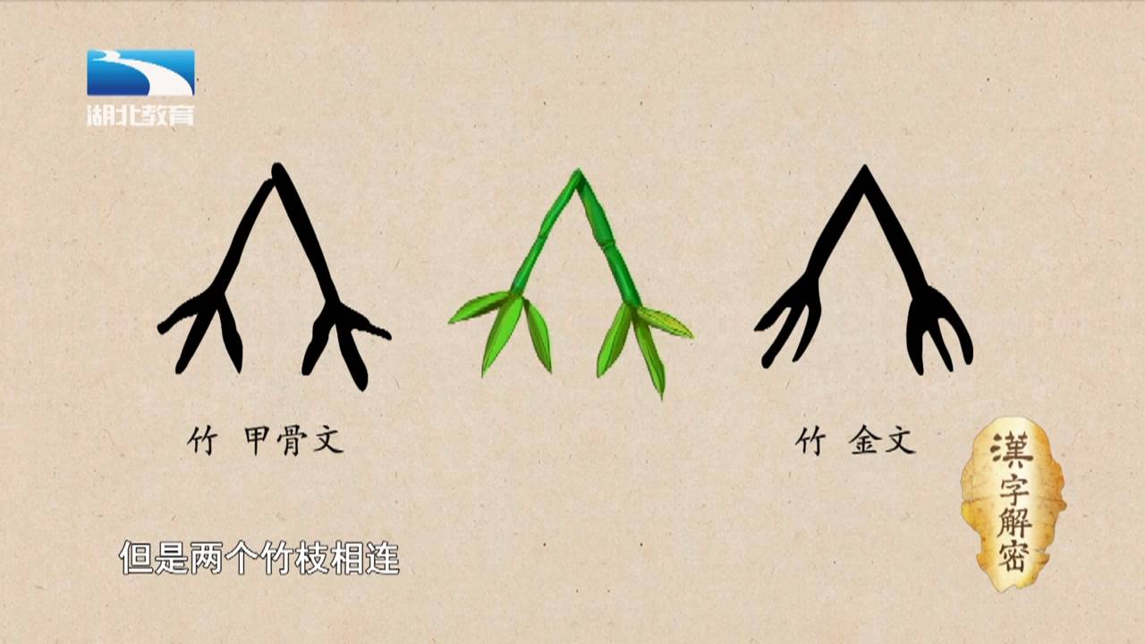 汉字解密 竹 竹字头的 笑 跟竹子有没有关系呢甲骨文的  "竹"是象形