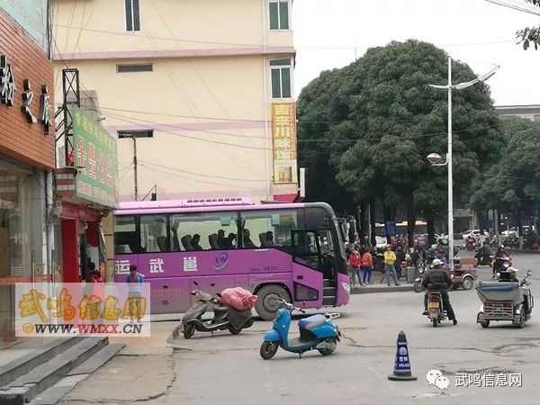 好消息,武鸣至南宁安吉专线班车票价下调了!